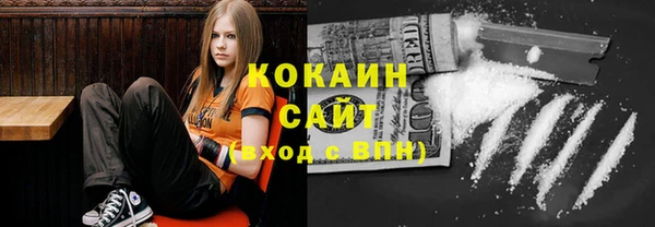 apvp Алзамай