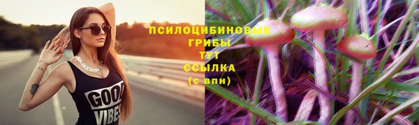 apvp Алексеевка