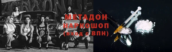 прущие грибы Абинск
