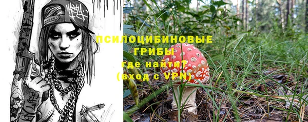 apvp Алексеевка