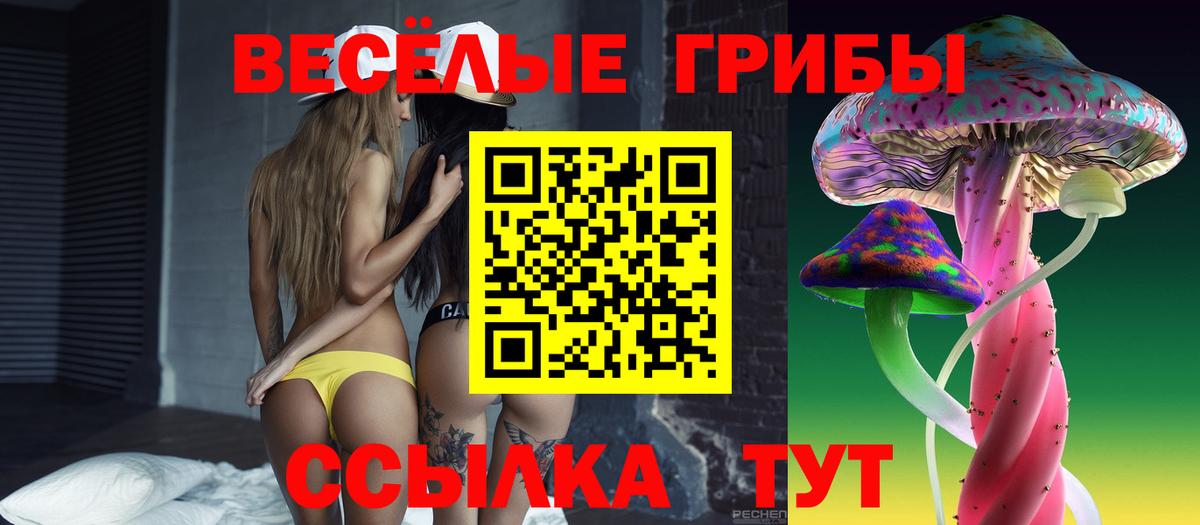Галлюциногенные грибы Psilocybine cubensis Ливны